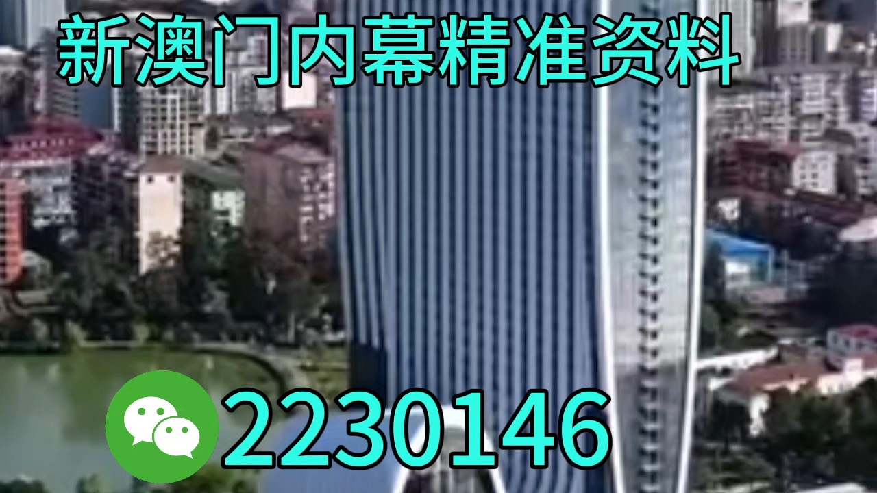 新奧門一碼一肖100，揭秘與探索彩票奧秘的世界，揭秘彩票奧秘，新奧門一碼一肖100的世界探索