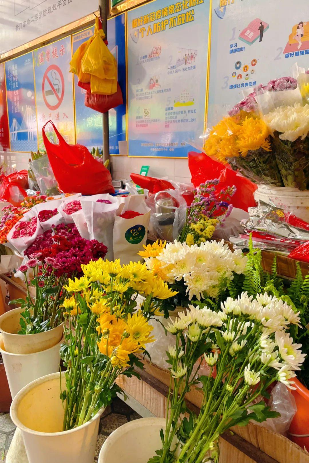 新門內(nèi)部資料大全最新更新下載，探索未知世界的鑰匙，新門內(nèi)部資料大全最新更新下載，探索未知世界的入門鑰匙